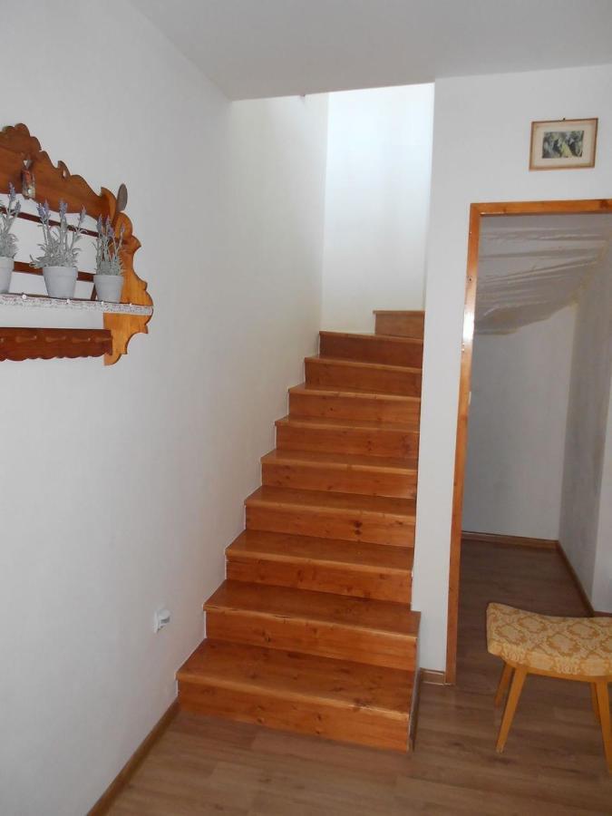 Pensjonat Ubytovani U Babicky Lanžhot Zewnętrze zdjęcie